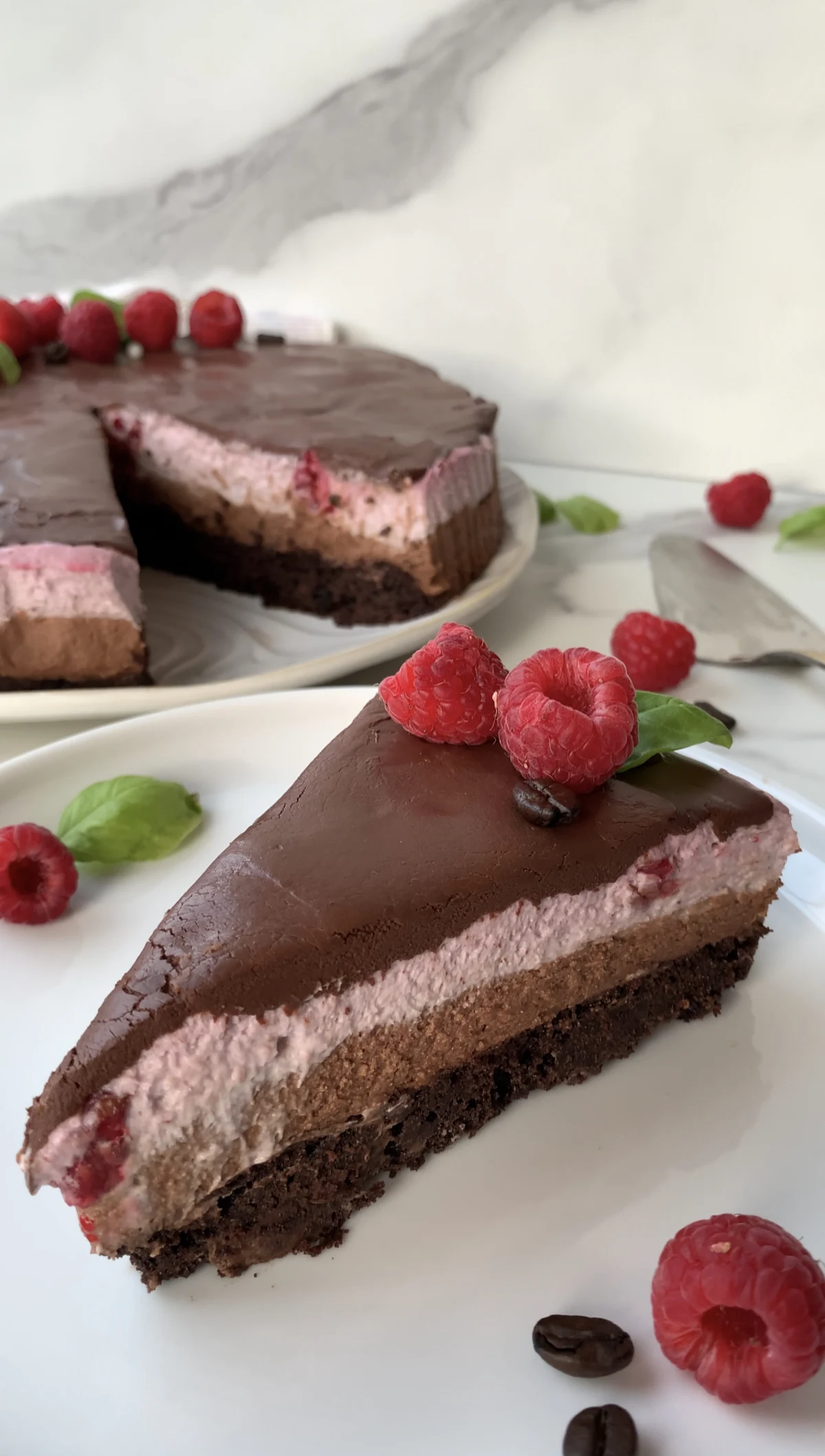 Raspberry Mocha Mousse Cake