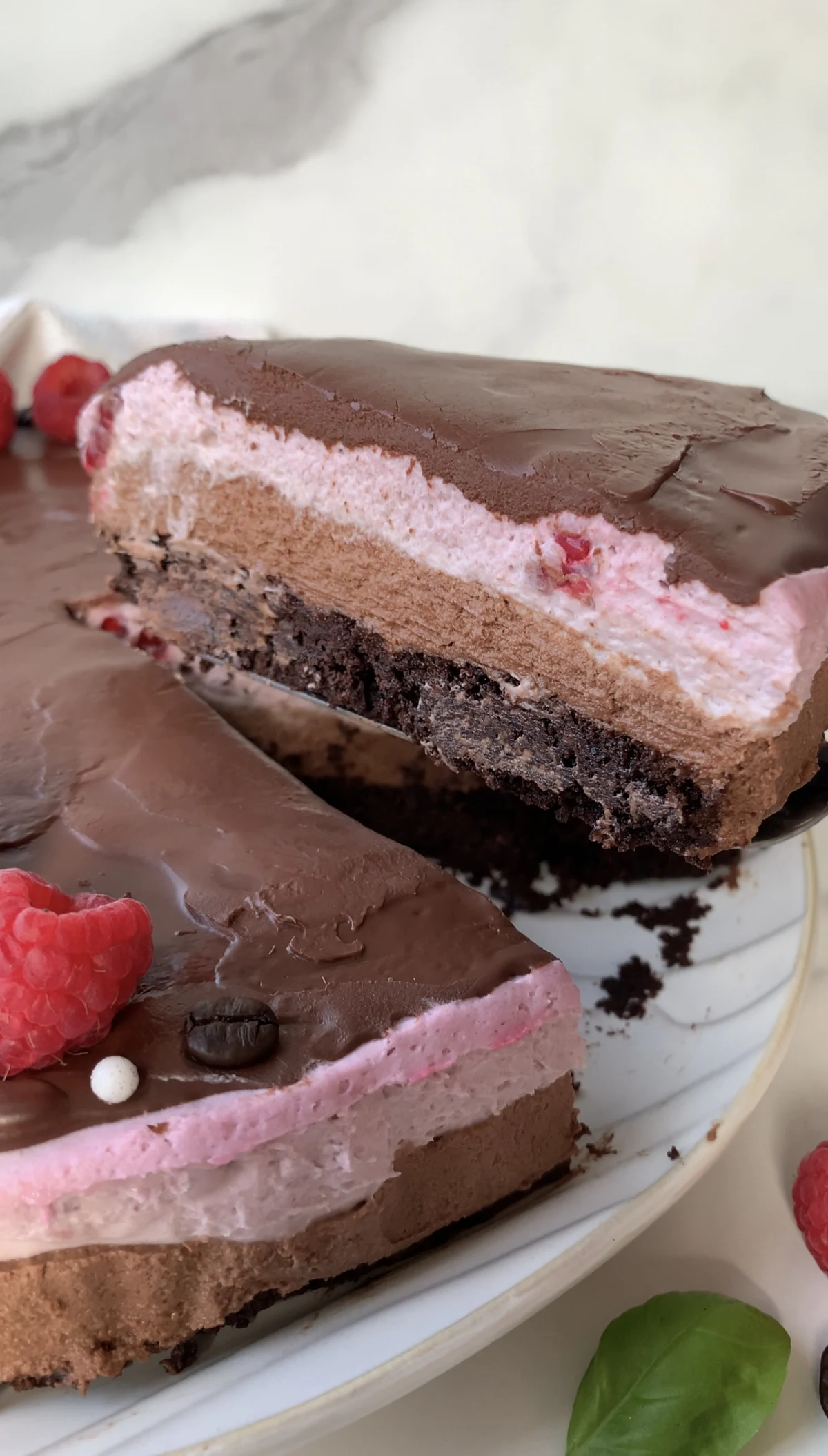 Raspberry Mocha Mousse Cake