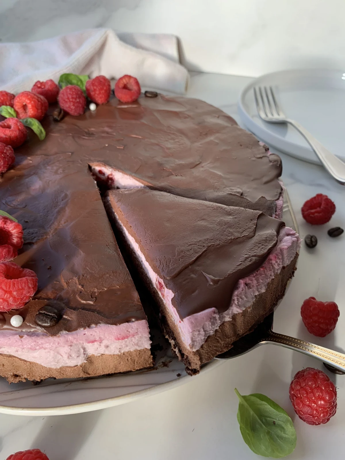Raspberry Mocha Mousse Cake
