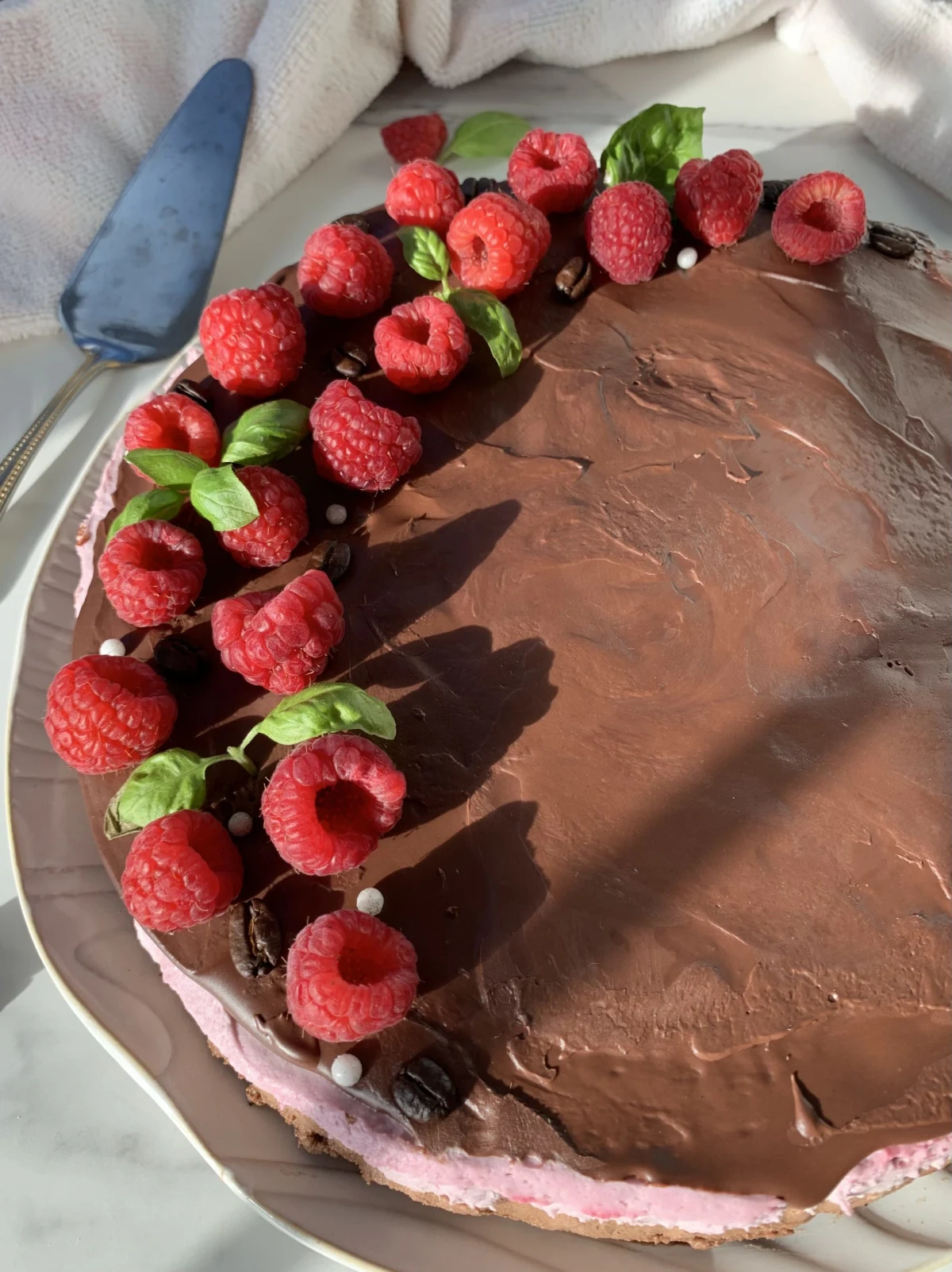 Raspberry Mocha Mousse Cake