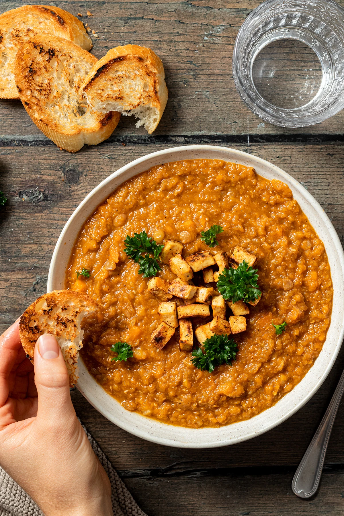 Vegetarian Lentil Stew