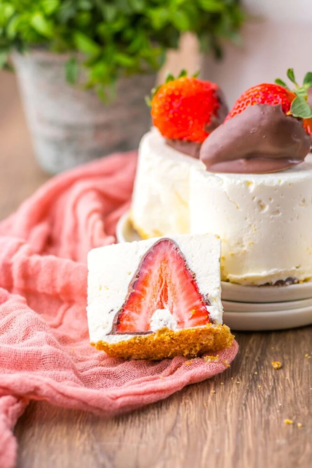 No-Bake Chocolate Strawberry Cheesecake