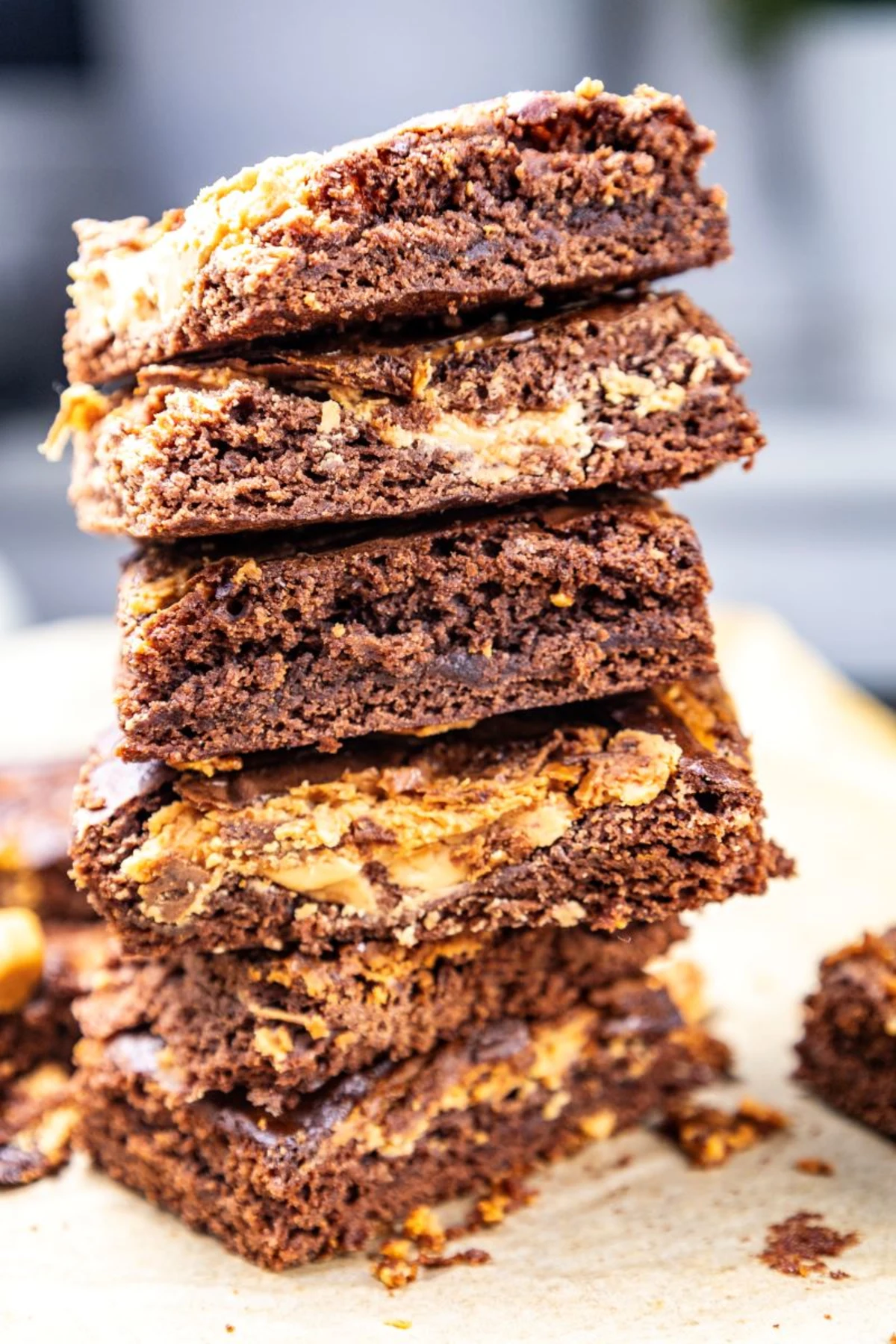 Chocolate Peanut Butter Brownies