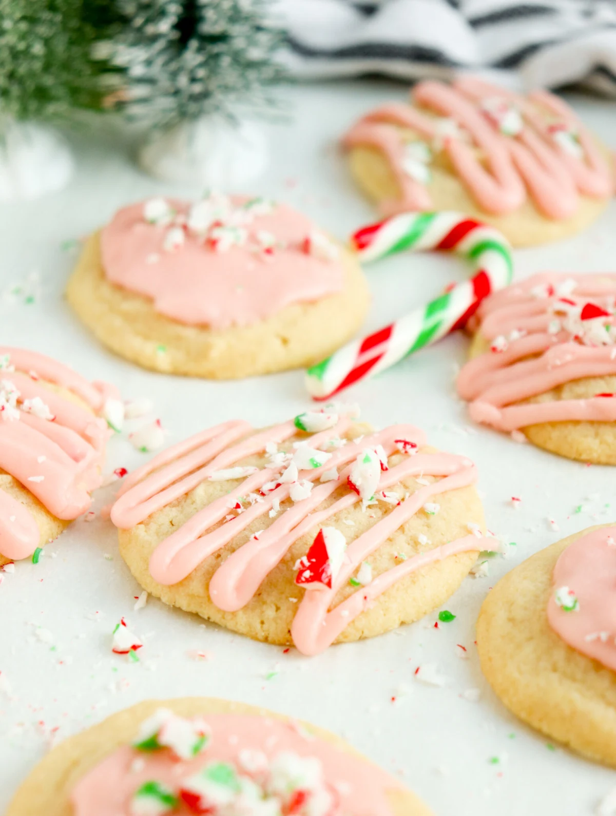 Soft Peppermint Sugar Cookies