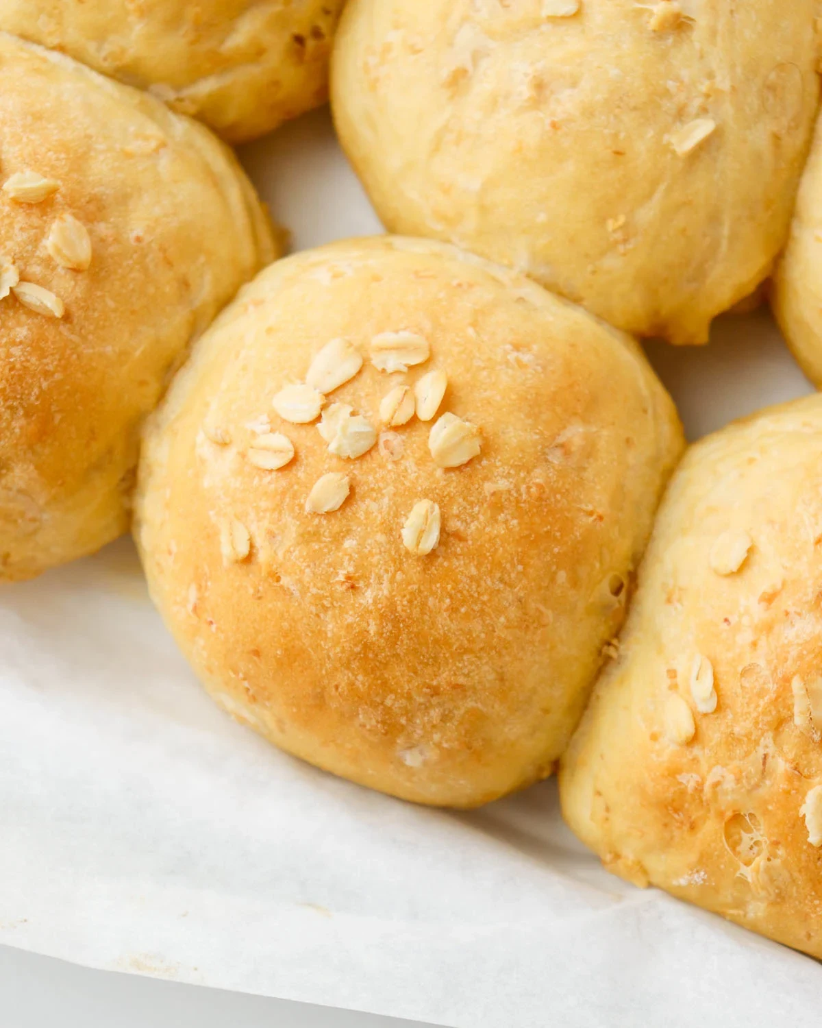 Oatmeal Dinner Rolls