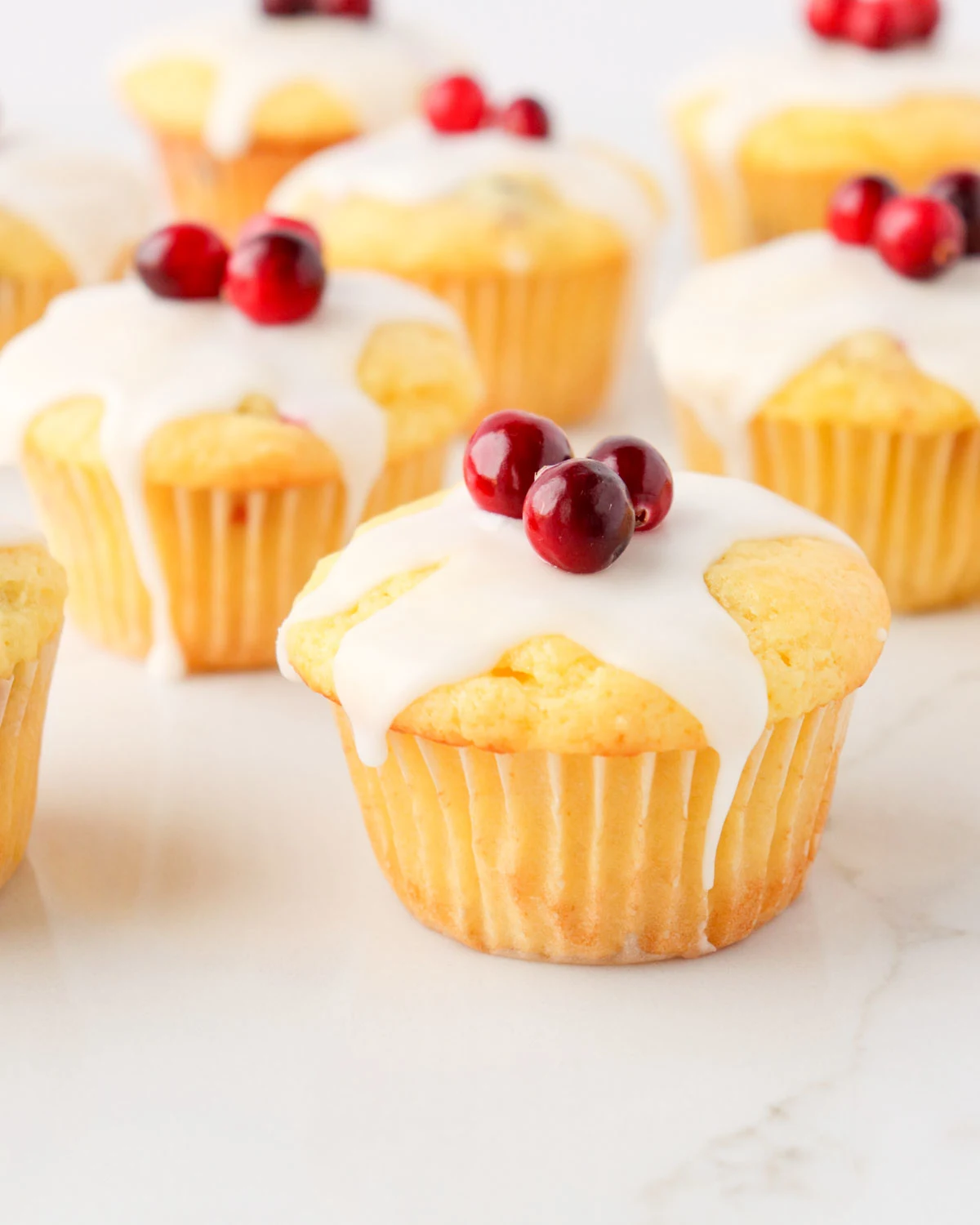 Lemon Cranberry Muffins