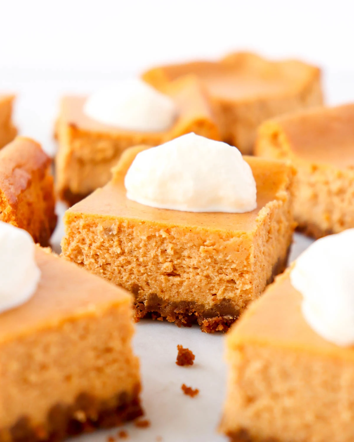 Pumpkin Cheesecake Bars with Gingersnap Crust