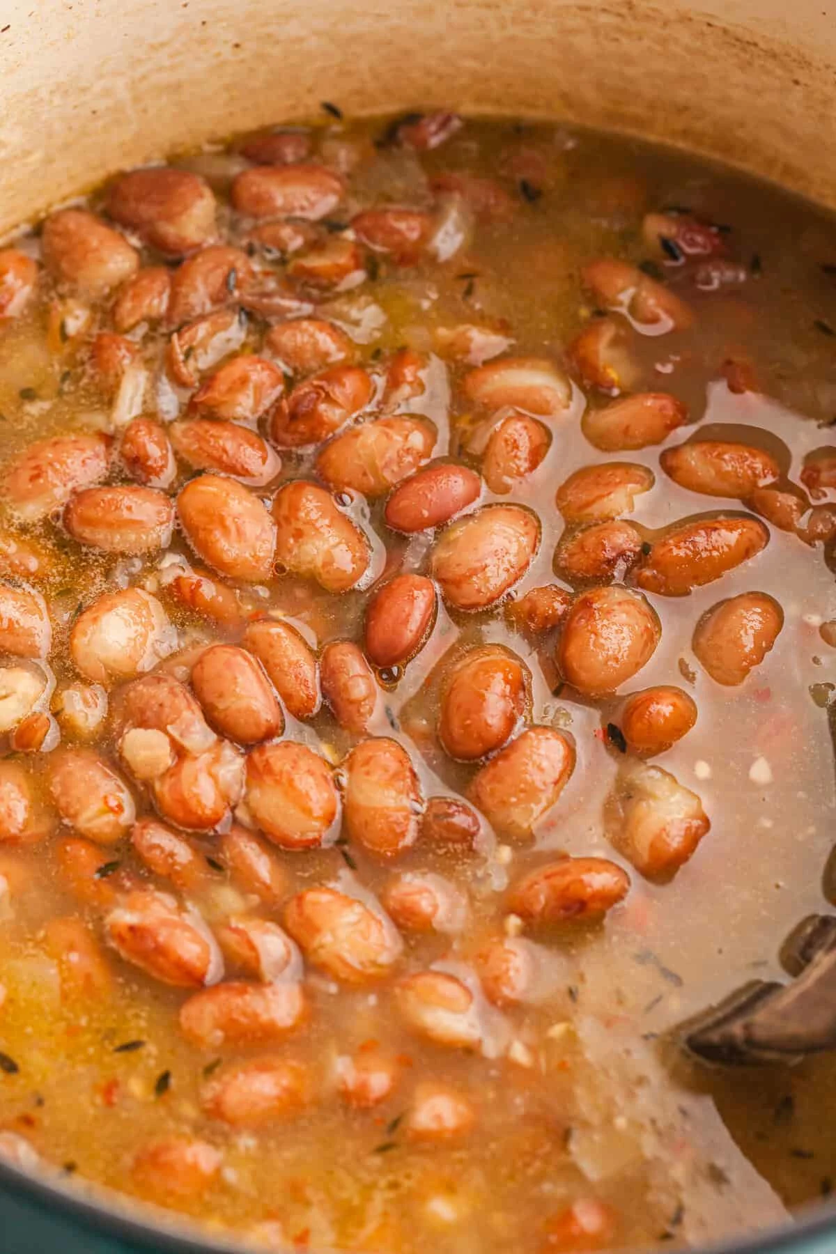 Cranberry Beans (Brothy Borlotti Bean Recipe)