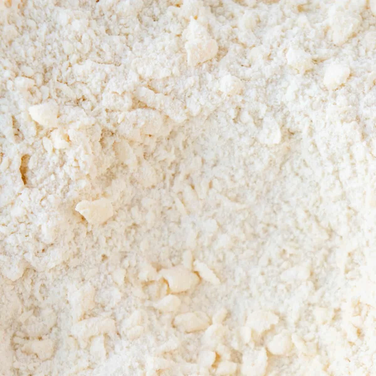 Mini Chocolate Chip Scones