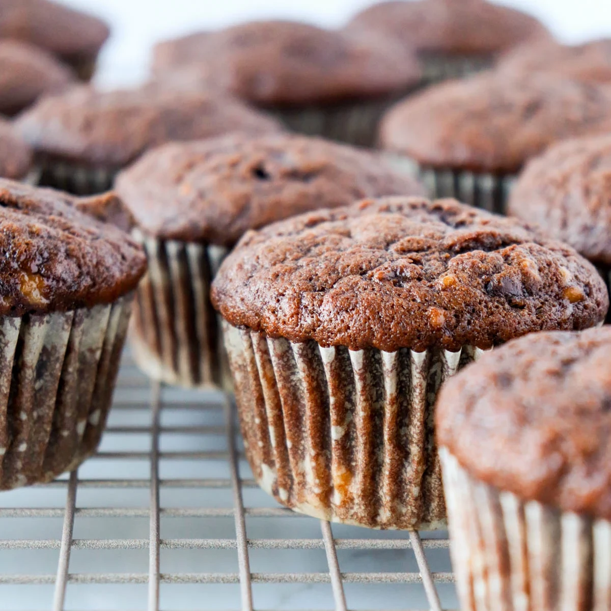 Double Chocolate Banana Muffins