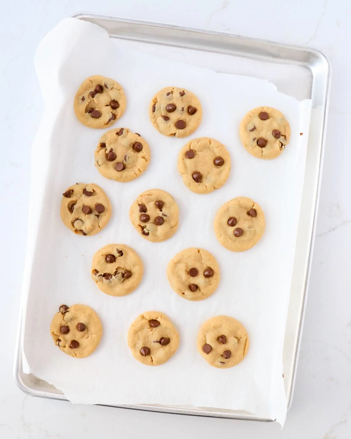 Chocolate Chip Peanut Butter Cookies