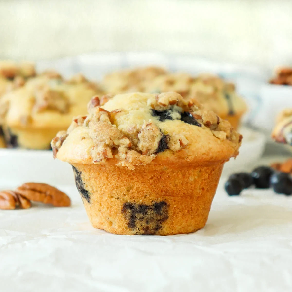 Blueberry Pecan Muffins