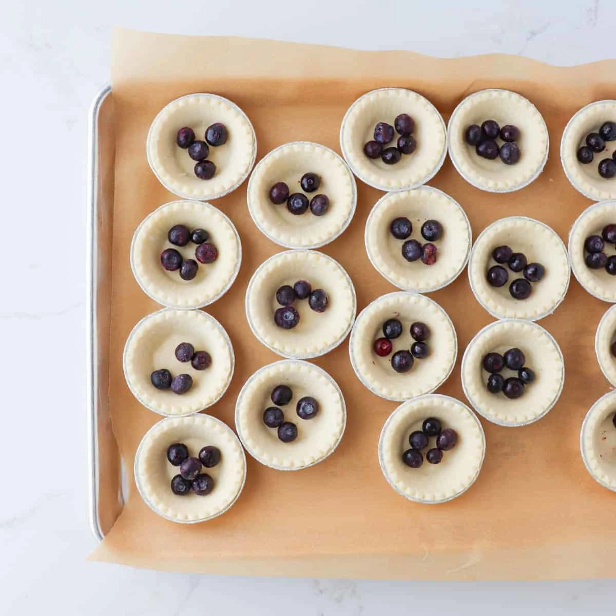 Blueberry Custard Tarts