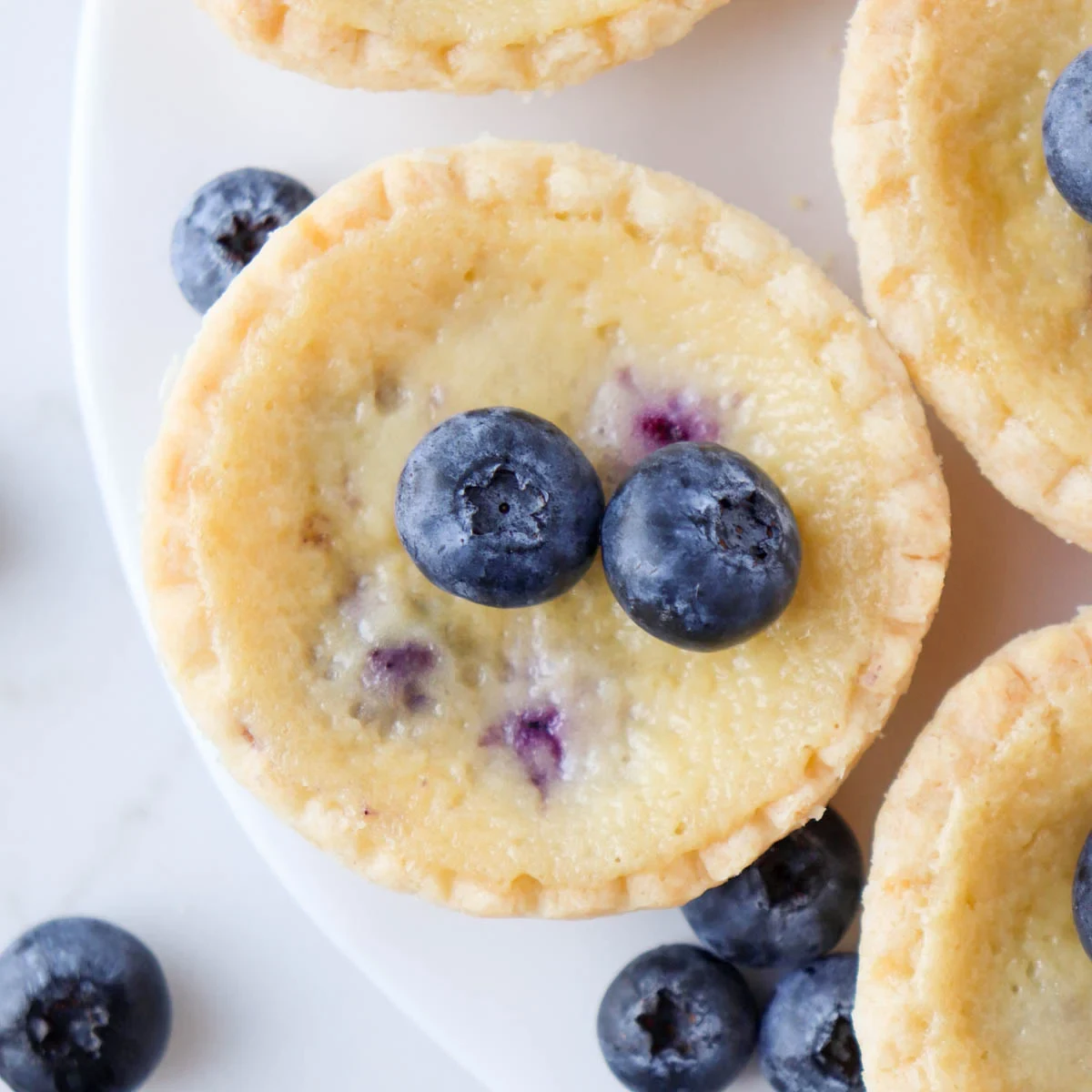 Blueberry Custard Tarts
