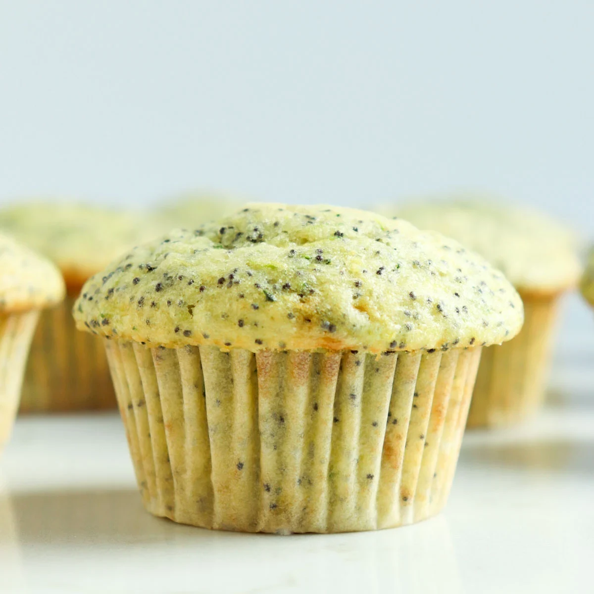 Zucchini Lemon Poppy Seed Muffins