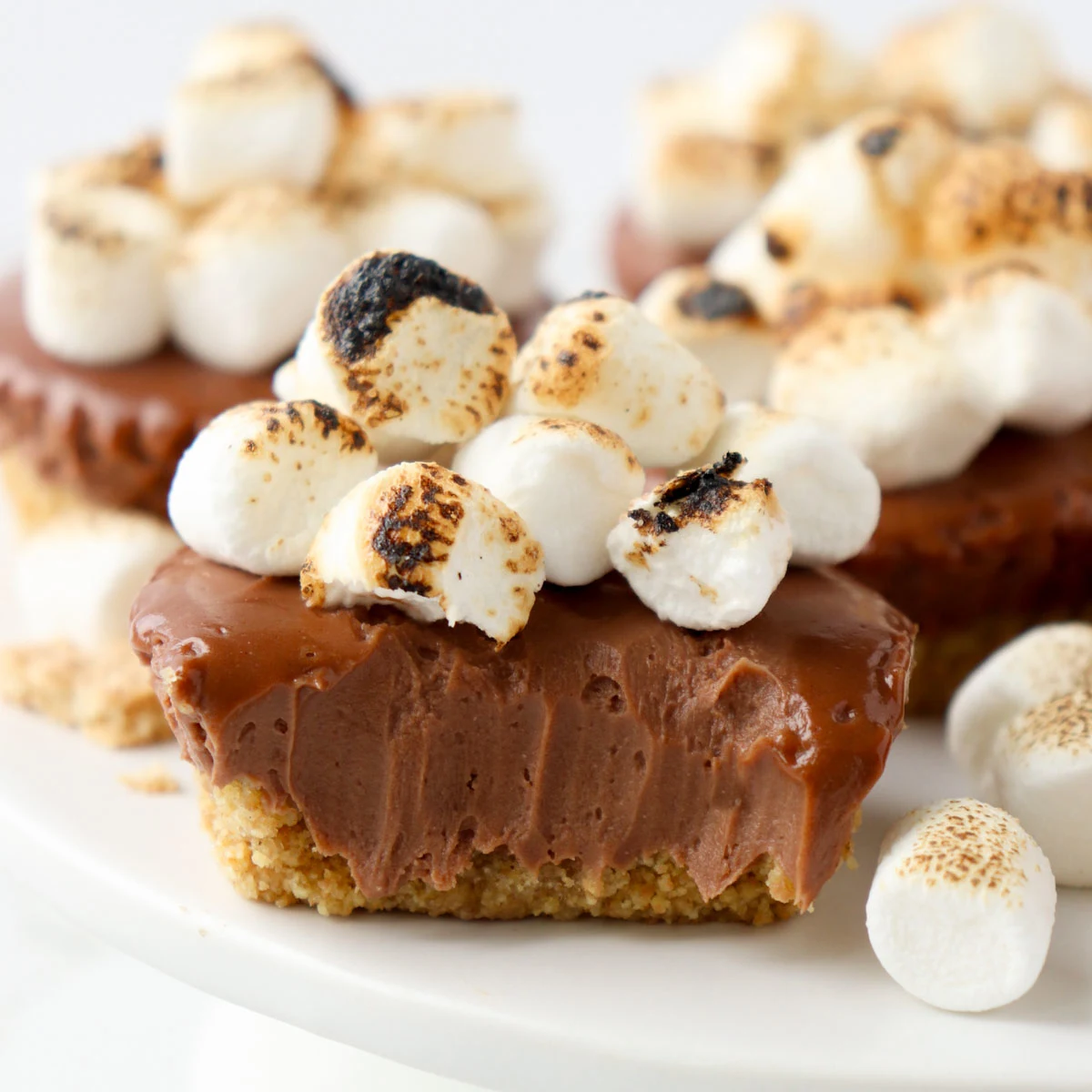 No-Bake Mini S'mores Cheesecakes