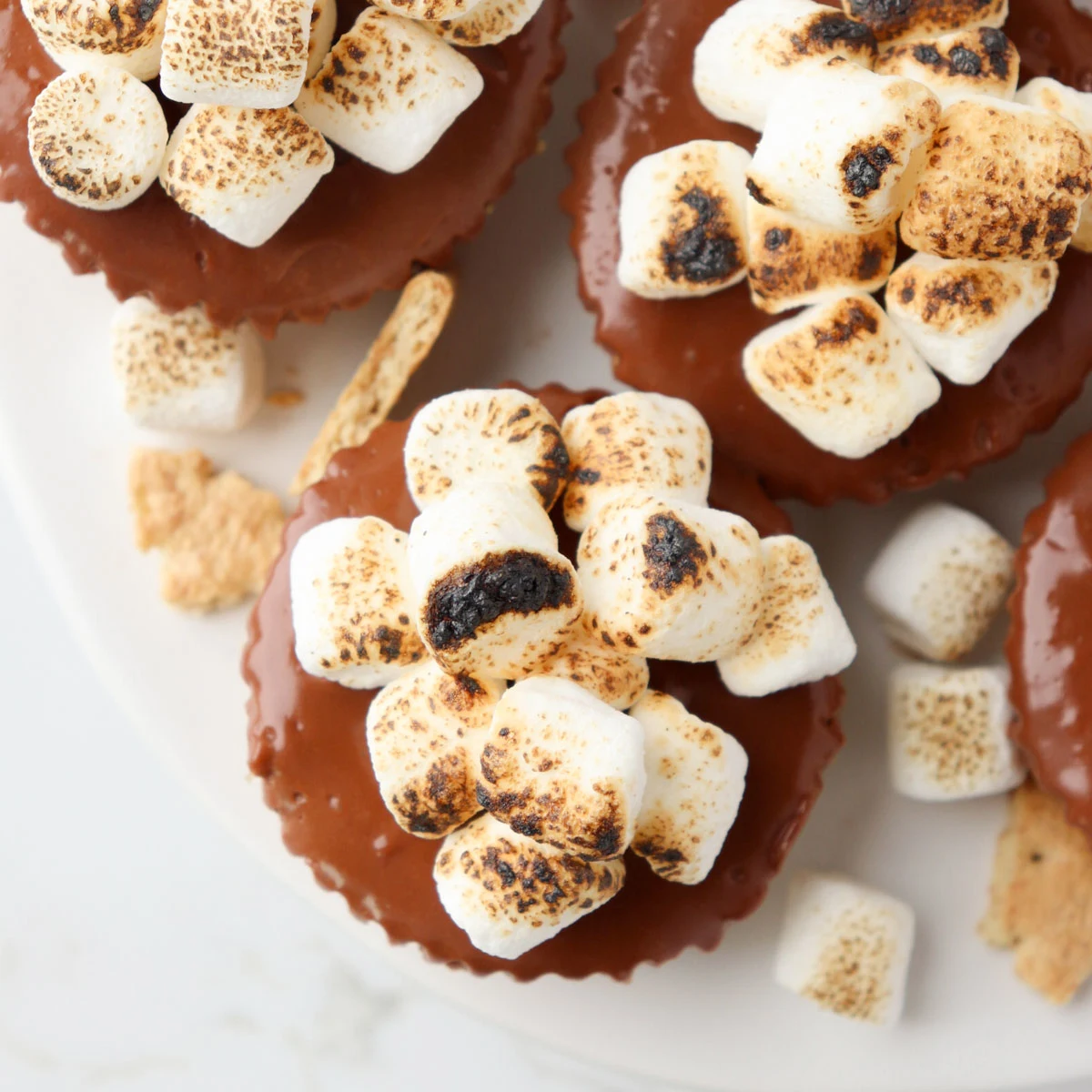 No-Bake Mini S'mores Cheesecakes
