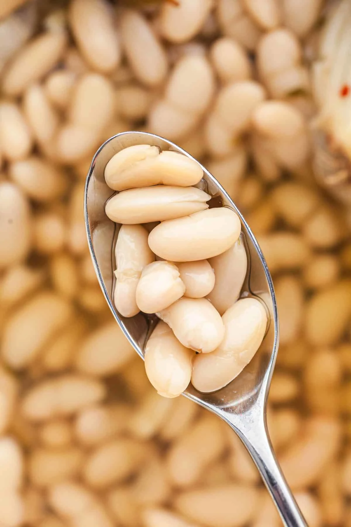 Cannellini Beans: From Dried Beans to Brothy Bean Bliss