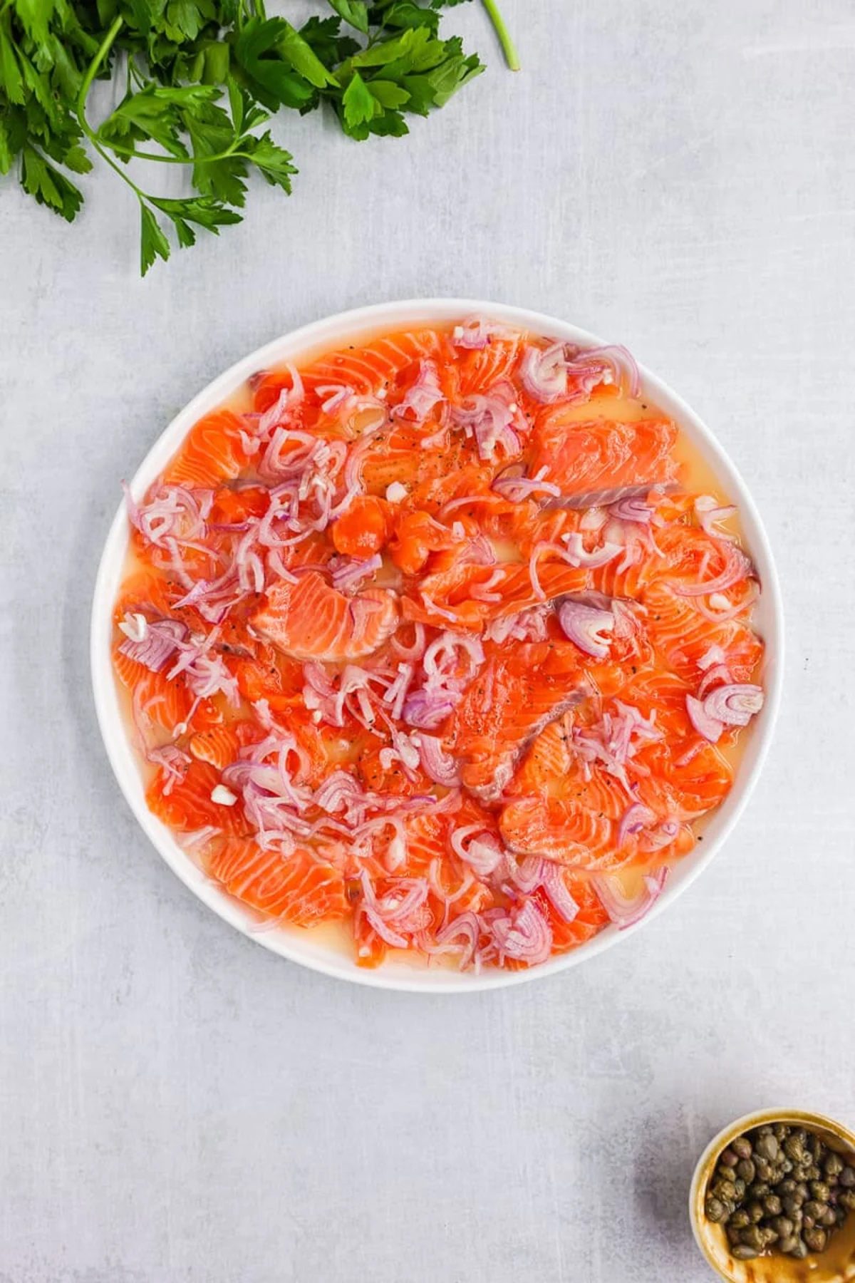Salmon Crudo