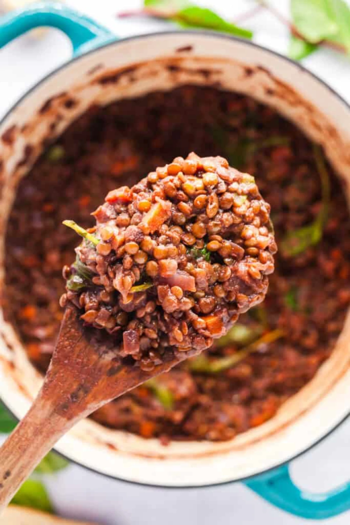 French Lentils Braised in Red Wine and Caramelized Onions