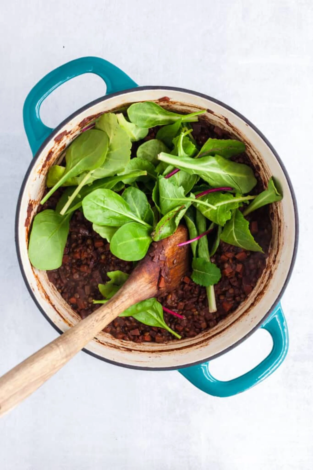 French Lentils Braised in Red Wine and Caramelized Onions