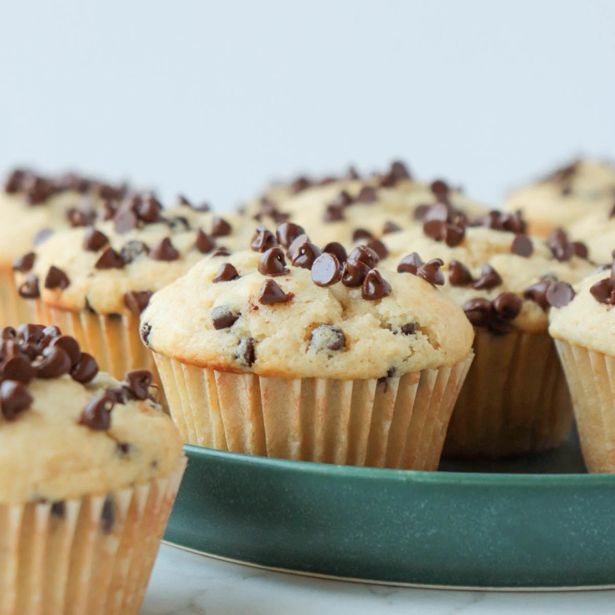 Chocolate Chip Muffins