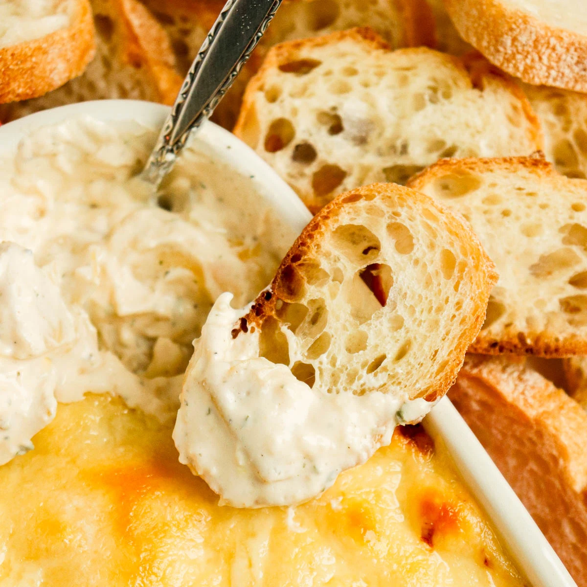 Creamy Garlic Artichoke Dip
