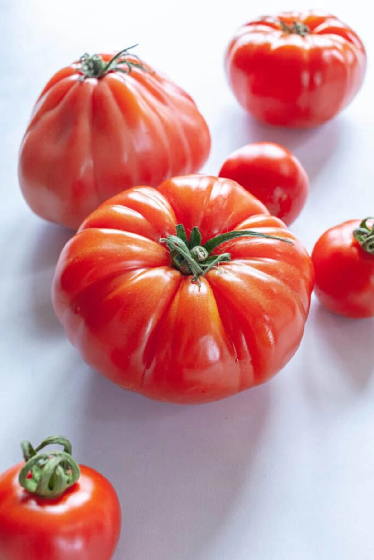 Southwestern Black Bean Stuffed Tomatoes