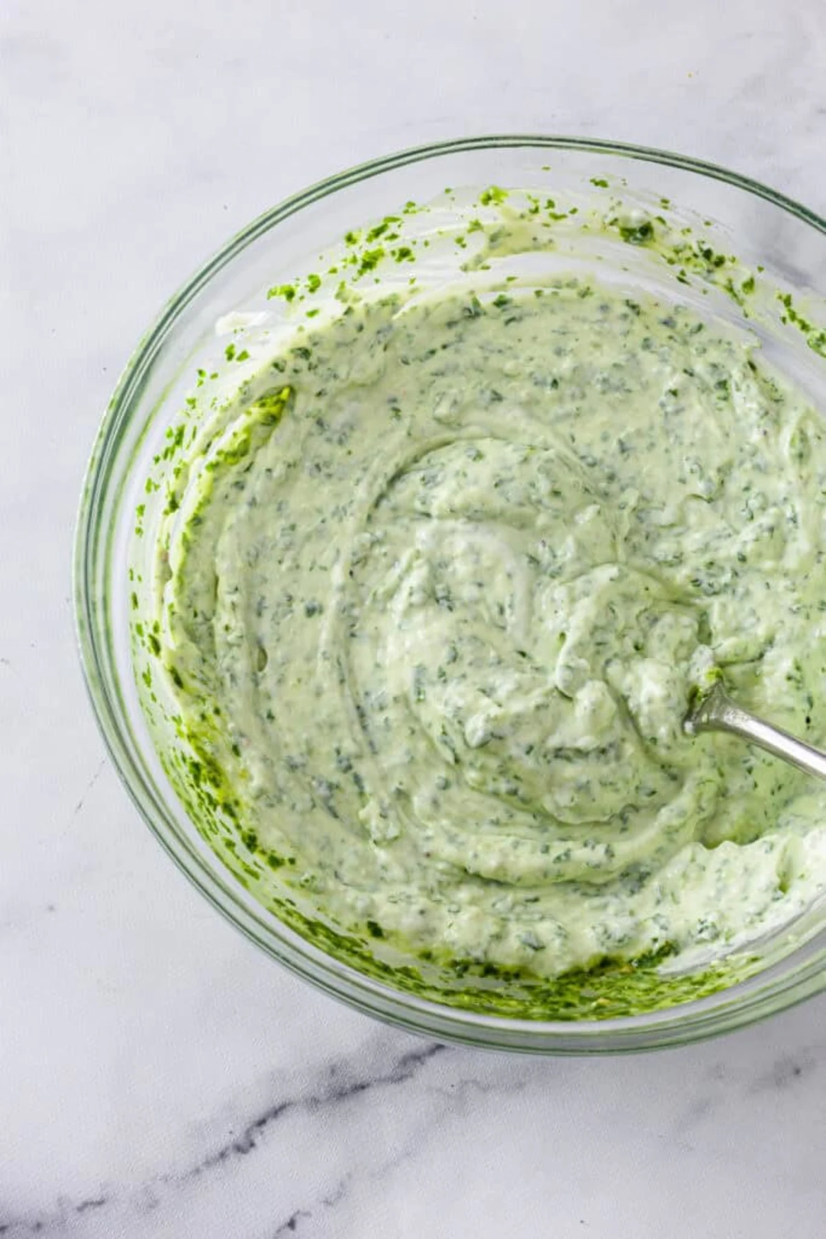 Cilantro Garlic Sauce