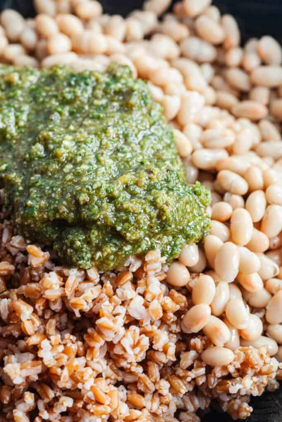 Farro with Blister Tomato and Pesto 