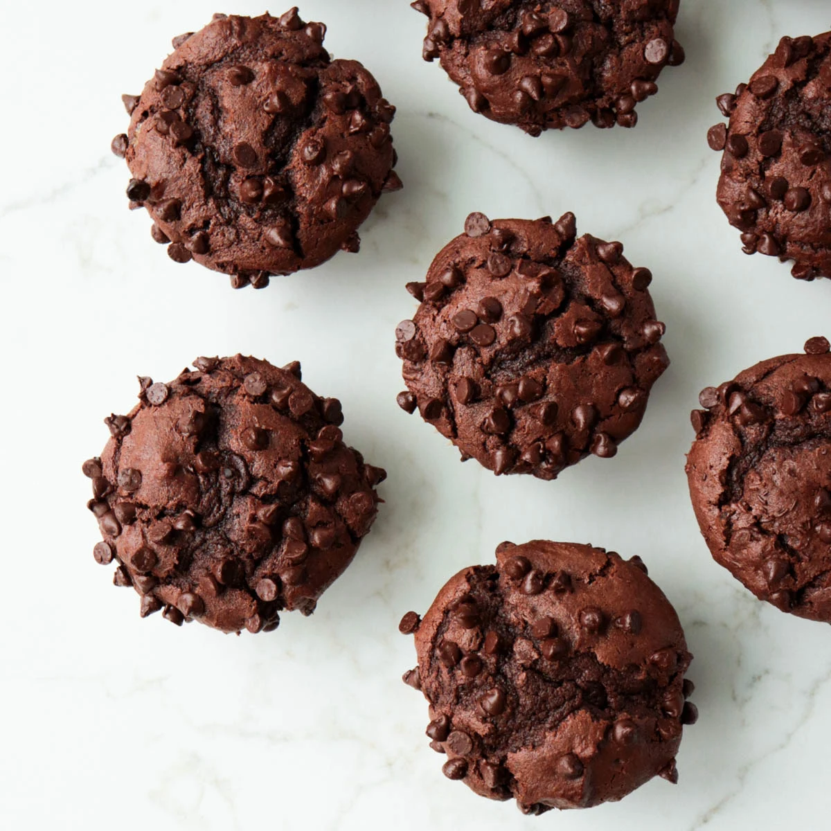 Double Chocolate Muffins