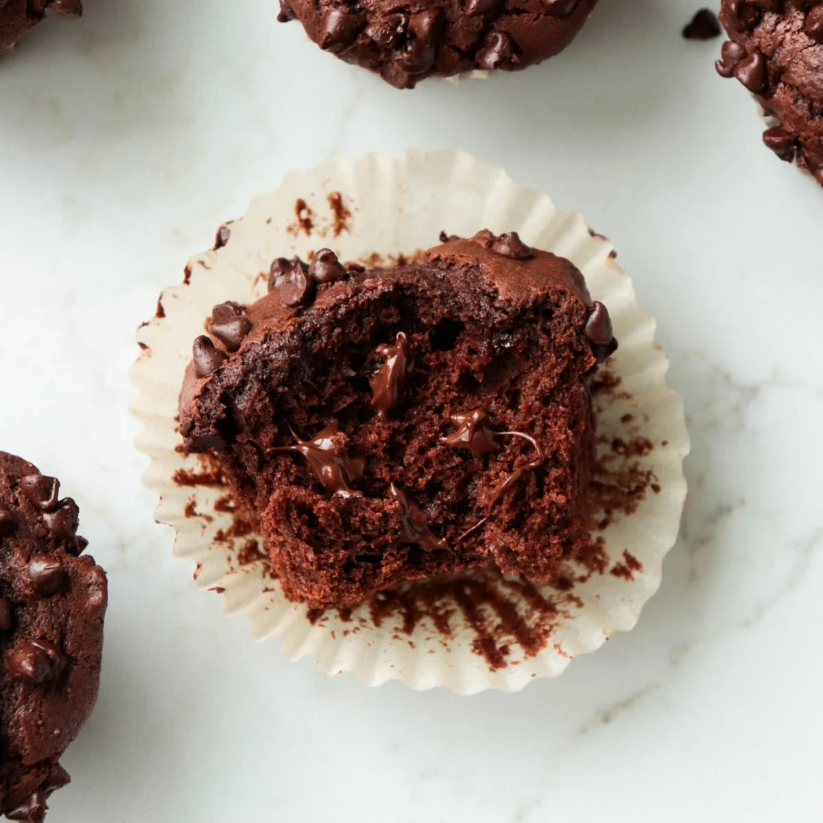Double Chocolate Muffins