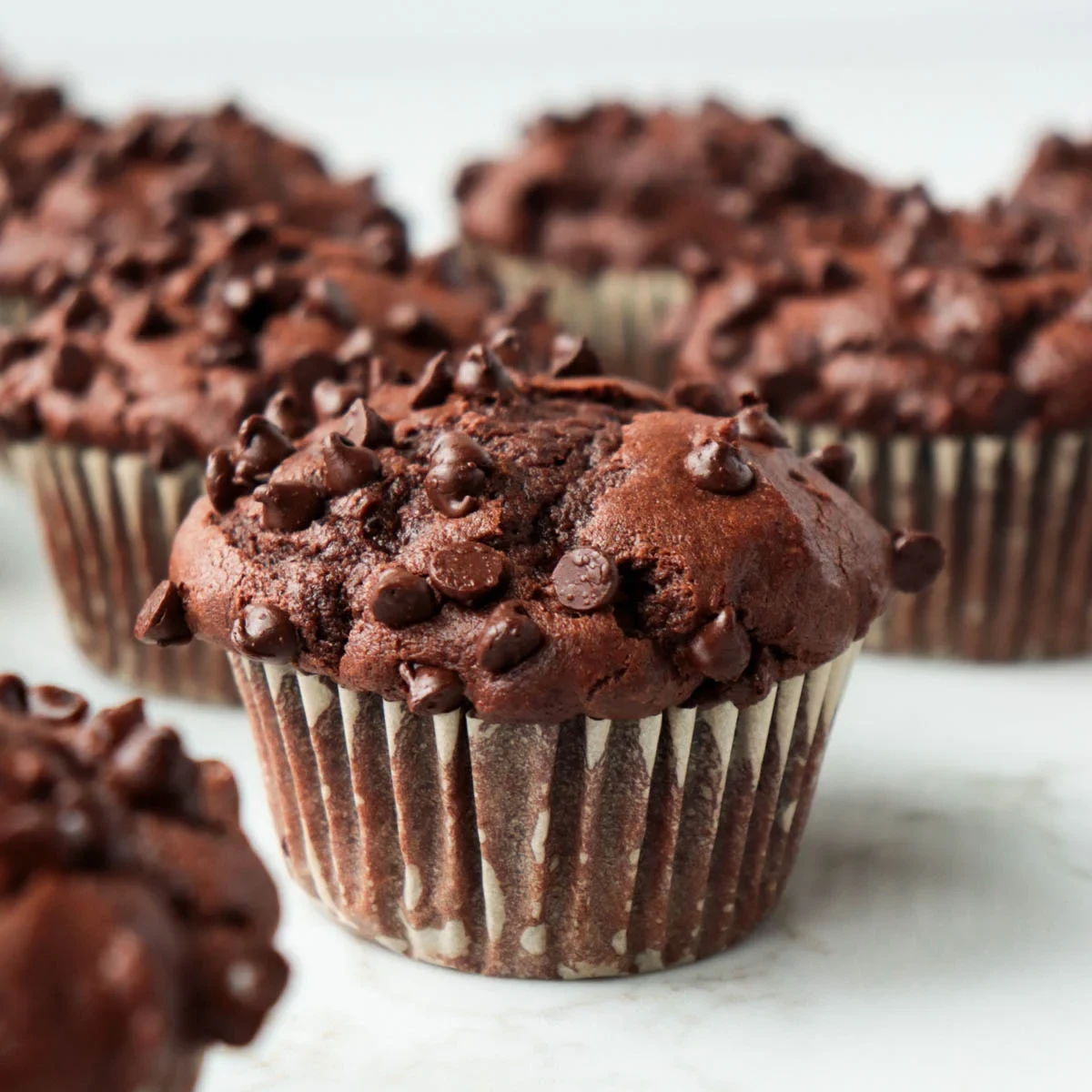Double Chocolate Muffins
