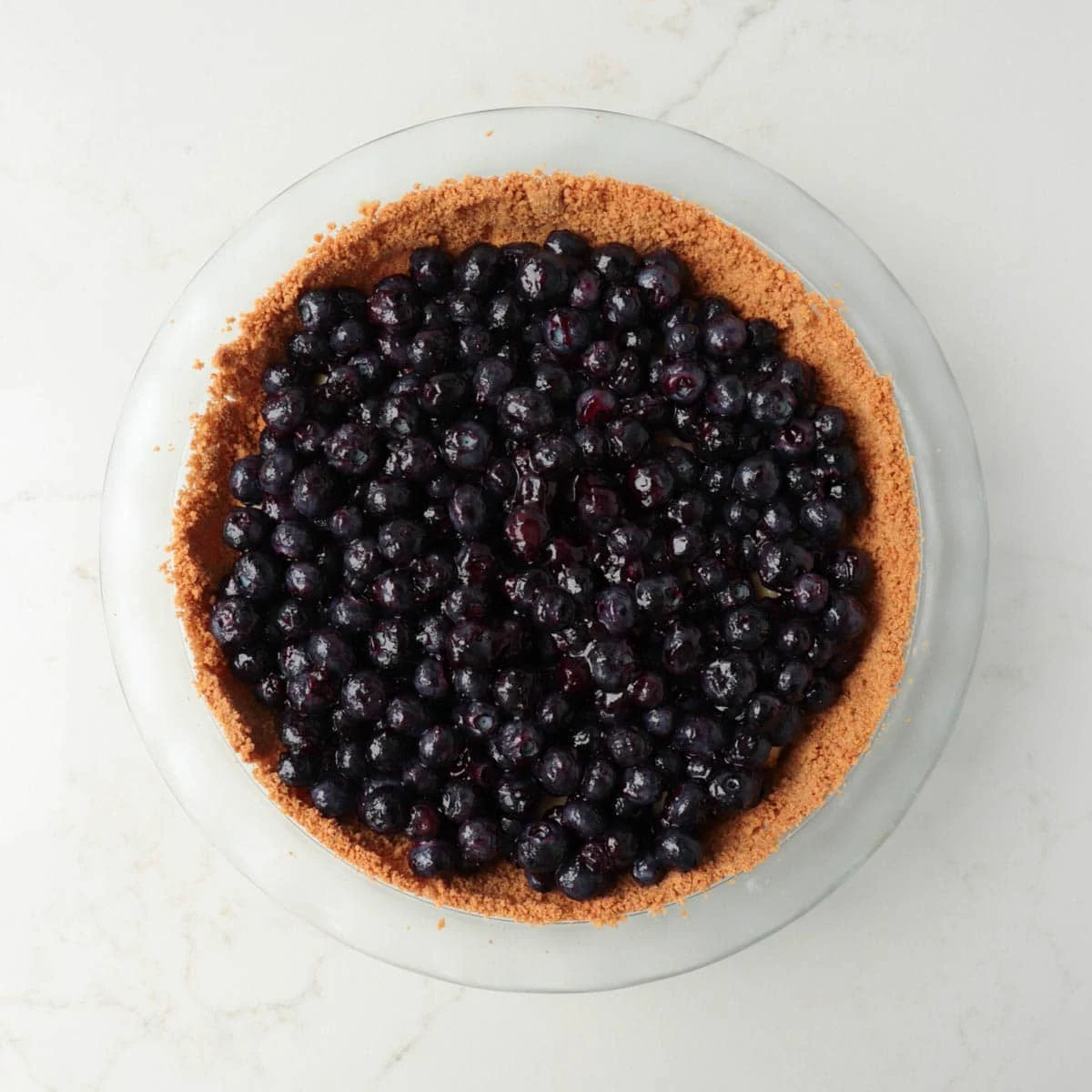 Blueberry Custard Pie