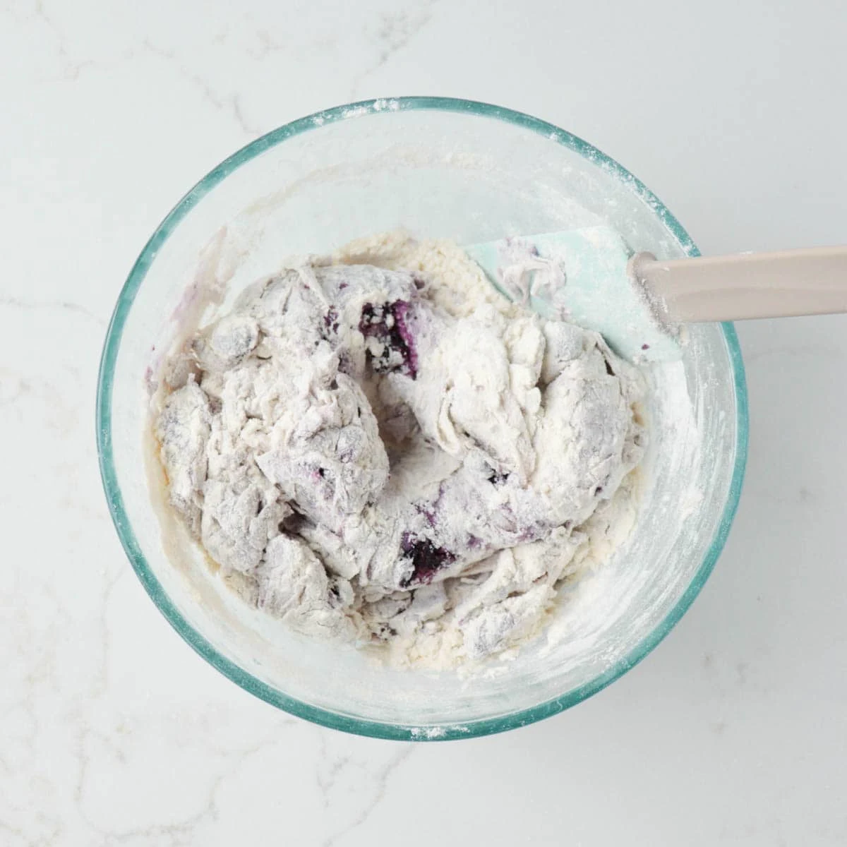 Homemade Blueberry Bagels