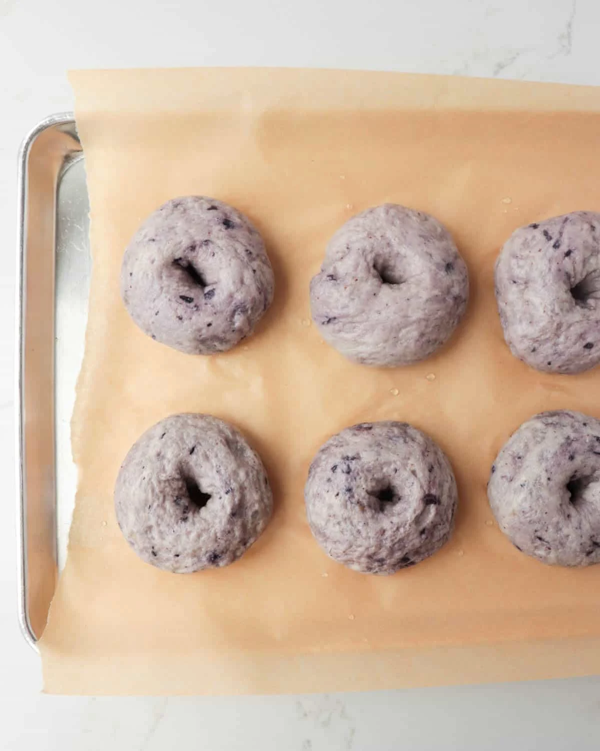 Homemade Blueberry Bagels