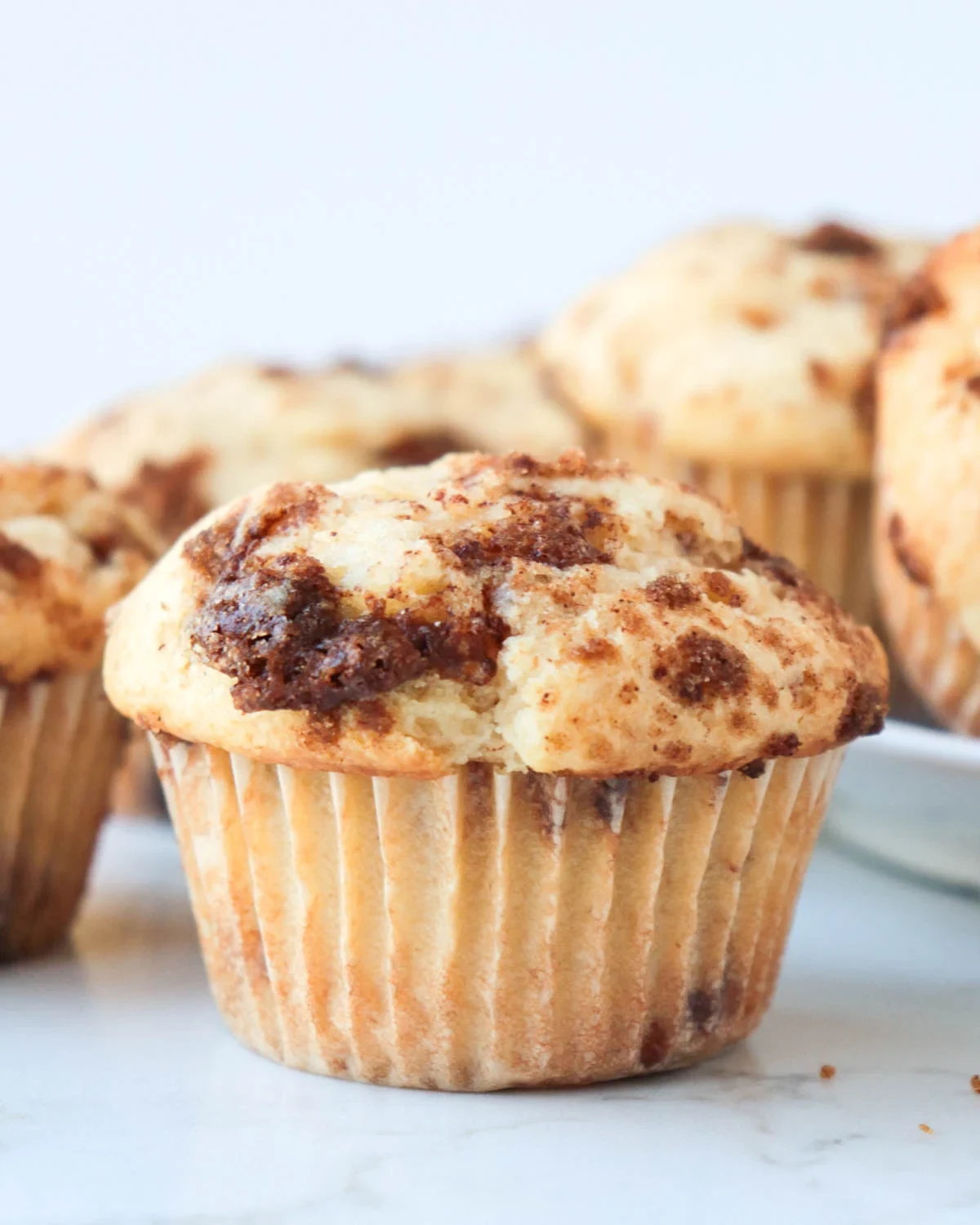 Cinnamon Chip Muffins