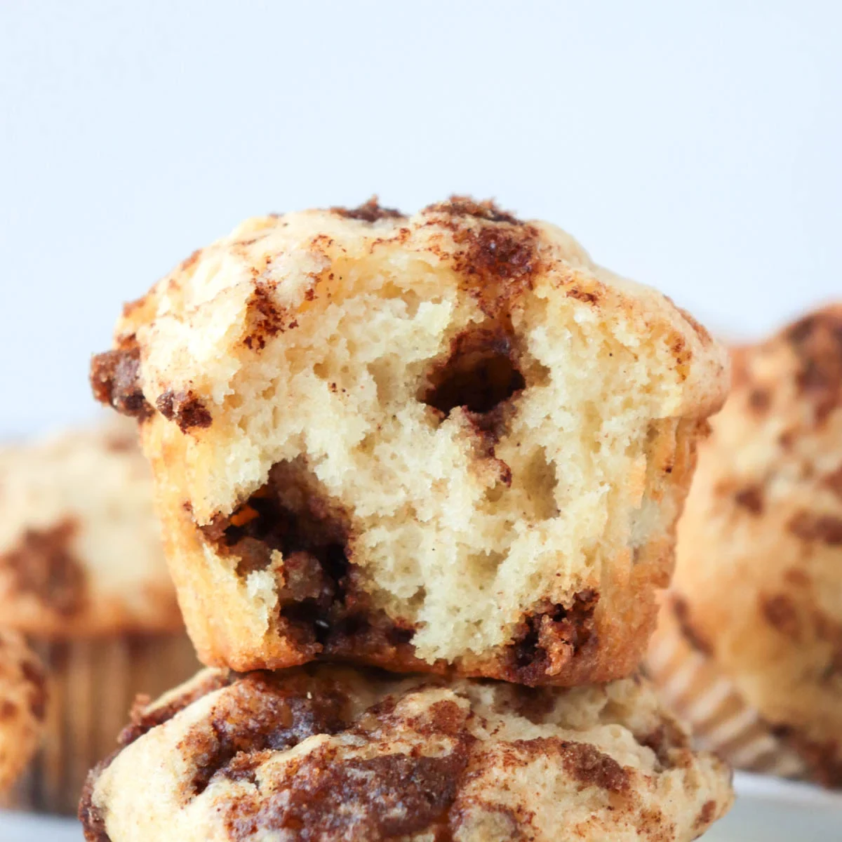 Cinnamon Chip Muffins