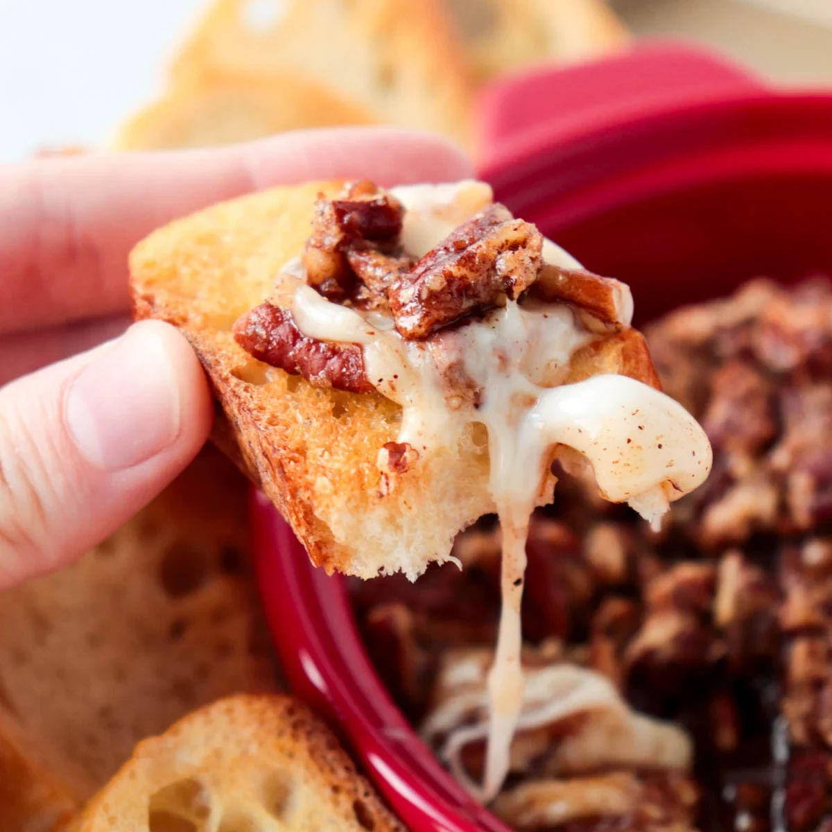Brown Sugar Pecan Baked Brie