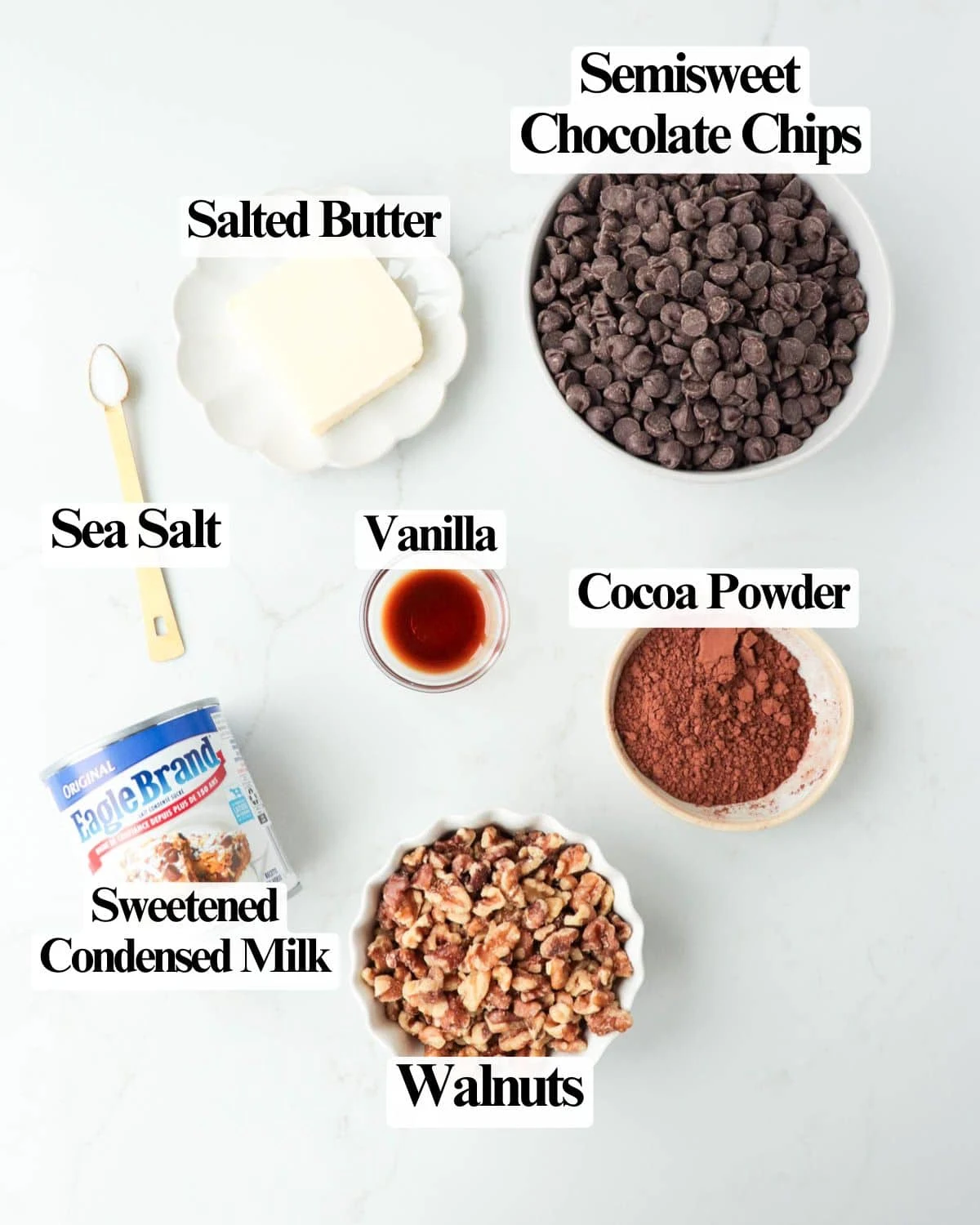 Chocolate Walnut Fudge