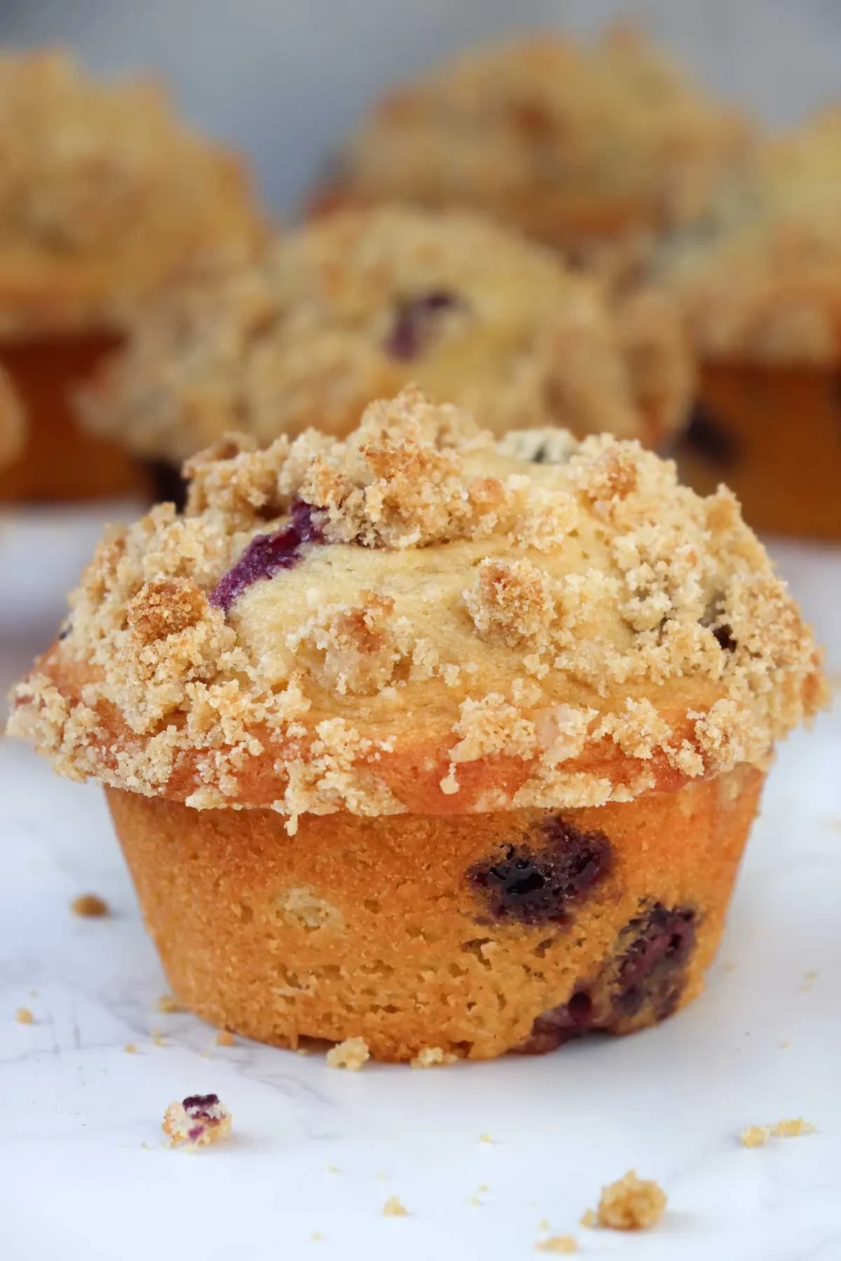 Blueberry Muffins with Crumb Topping