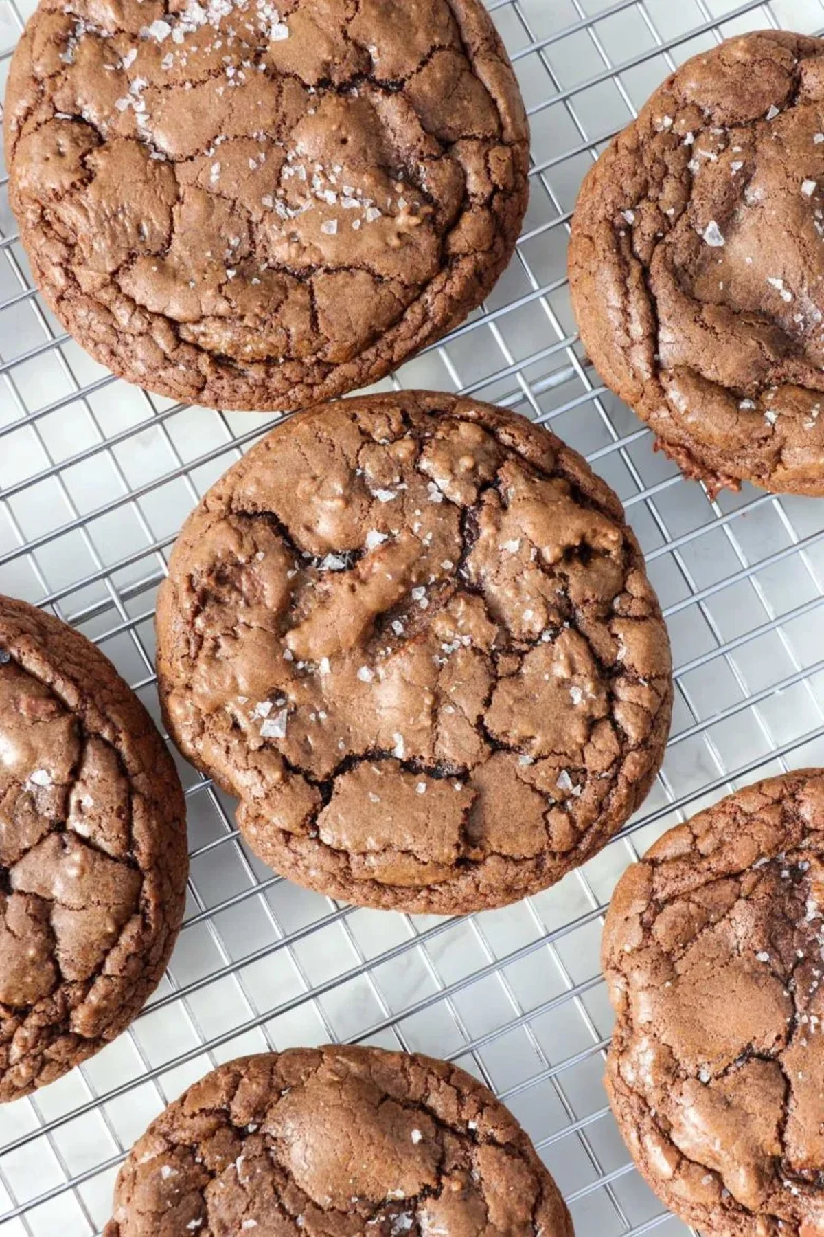 Fudgy Double Chocolate Brownie Cookies