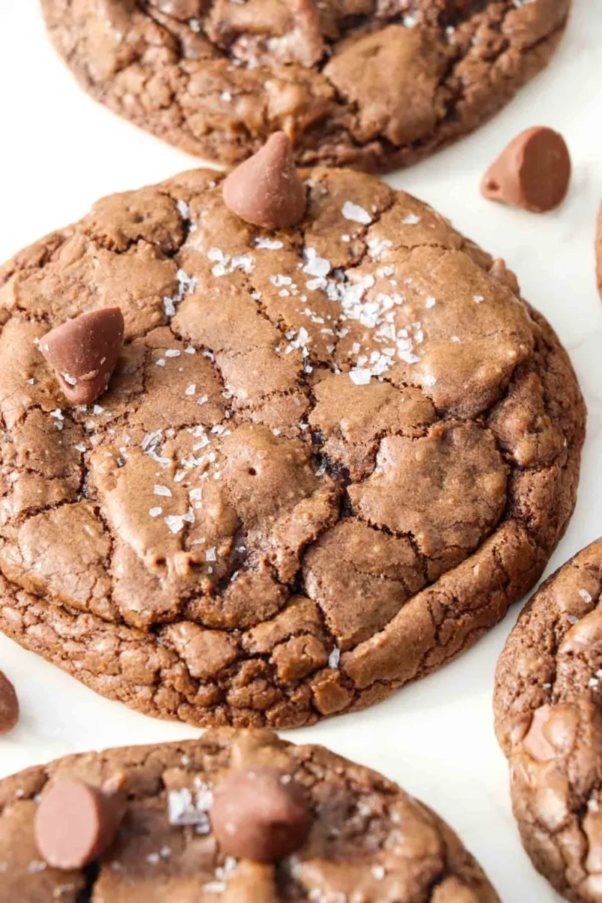 Fudgy Double Chocolate Brownie Cookies