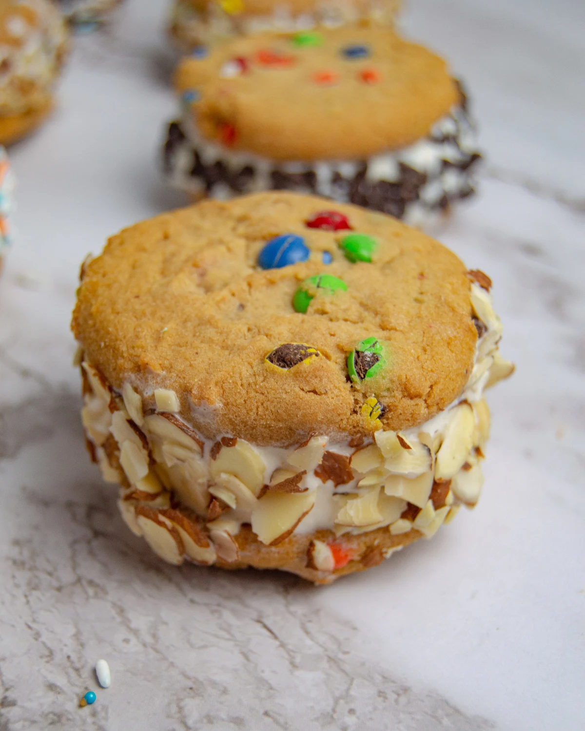 Homemade Ice Cream Sandwiches