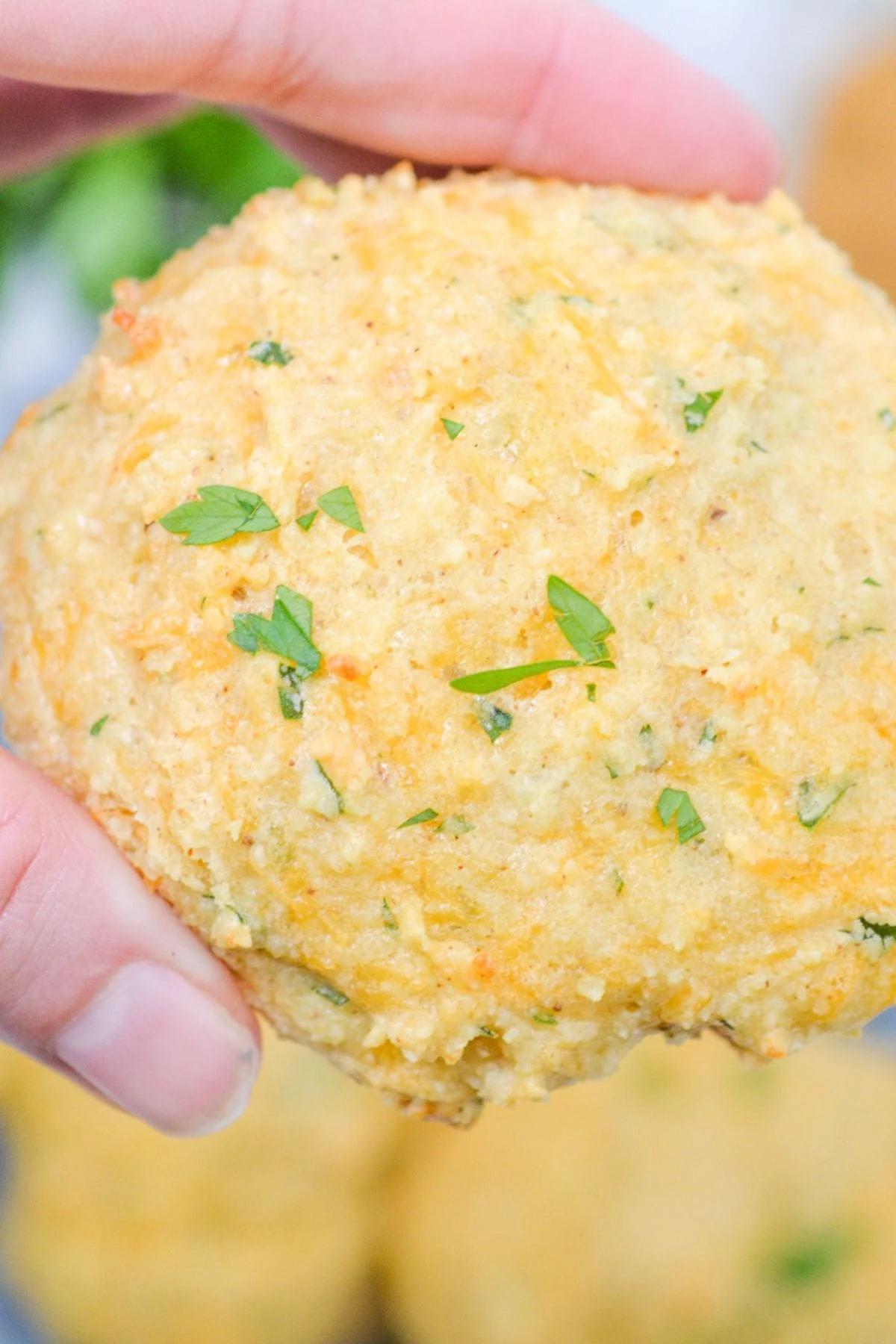 Bisquick Cheddar Biscuits