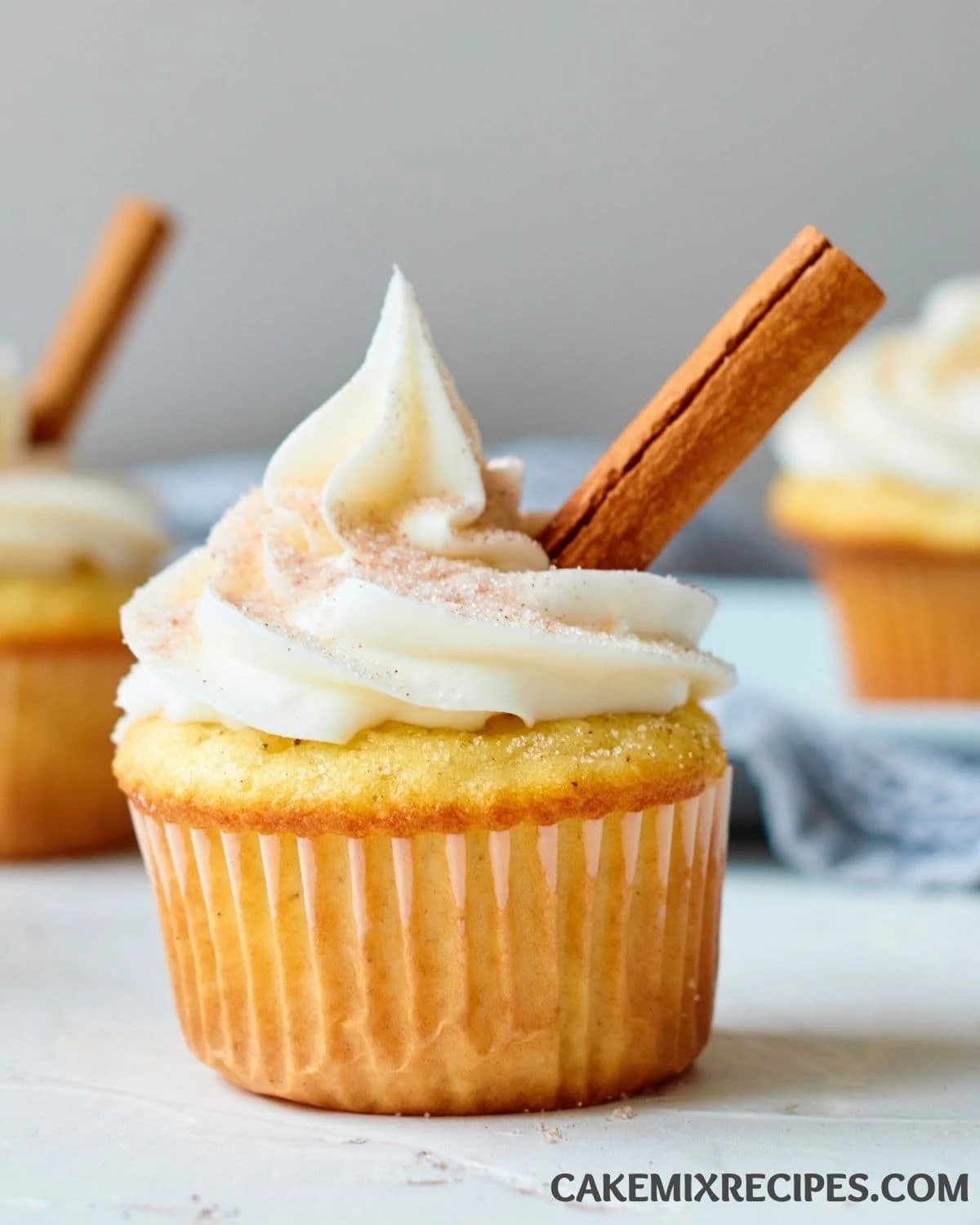 Cake Mix Snickerdoodle Cupcakes