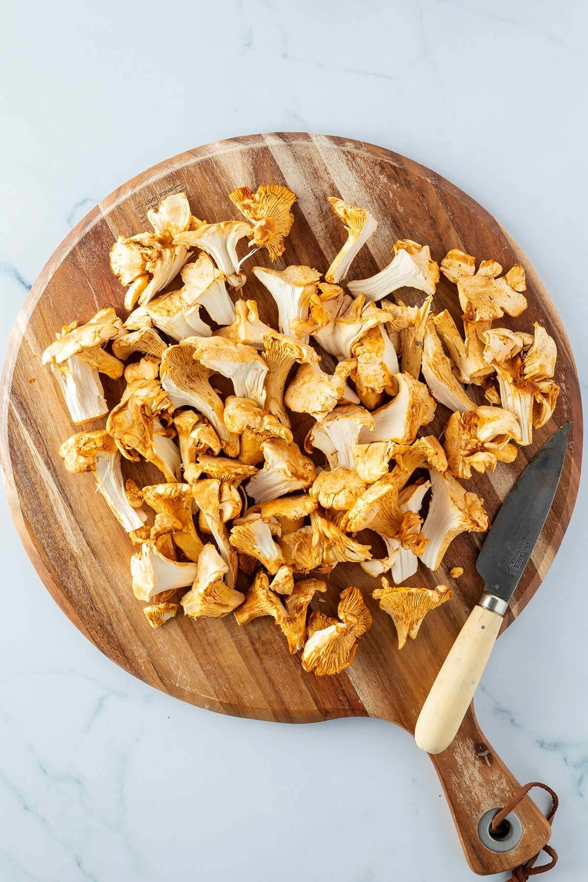 Chanterelle Pasta
