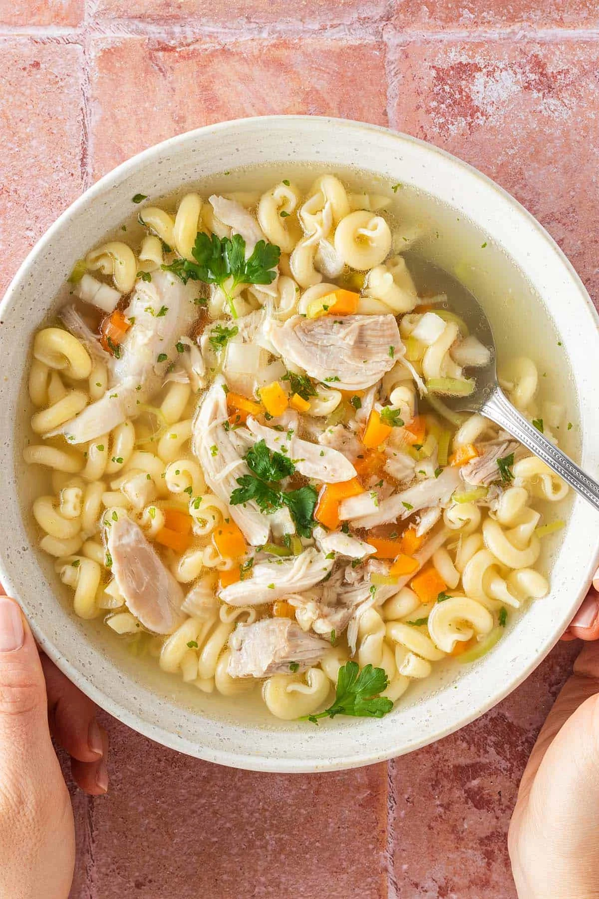 The Best Chicken Soup Recipe