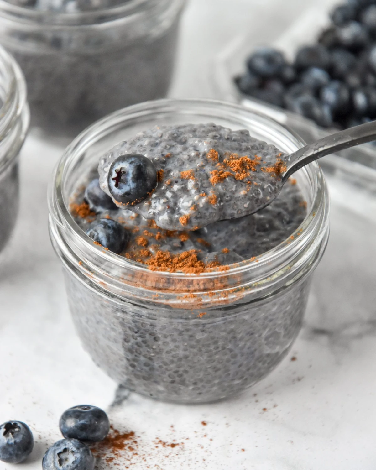 Blueberry Spice Chia Pudding