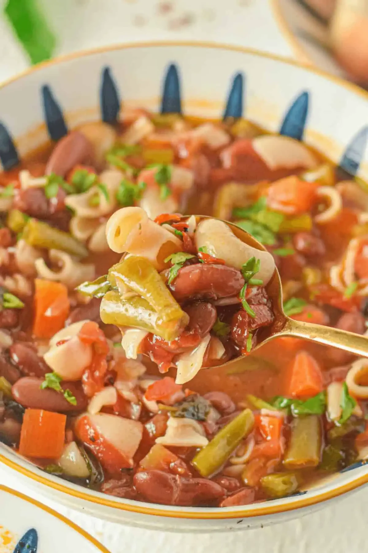 Italian Minestrone Soup